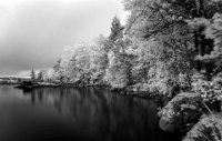 142 - ISLAND - LEHTONEN PEKKA - finland <div